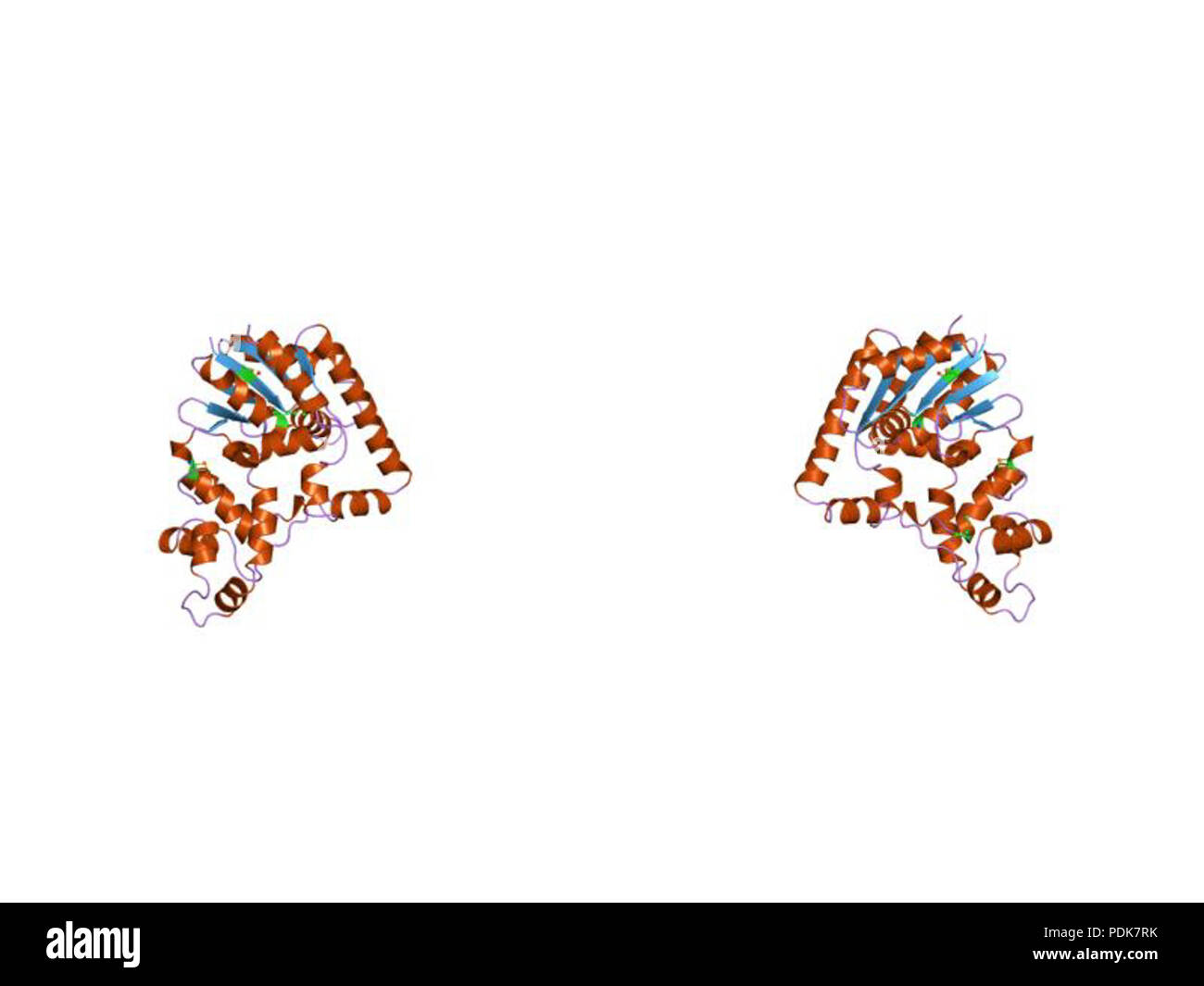 33 PDB 1exn EBI Stock Photo