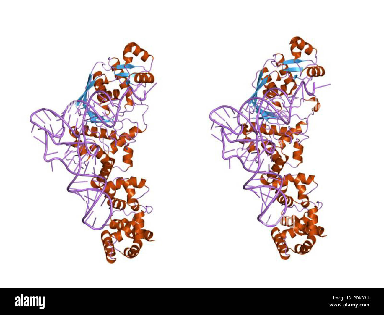 40 PDB 1g59 EBI Stock Photo - Alamy