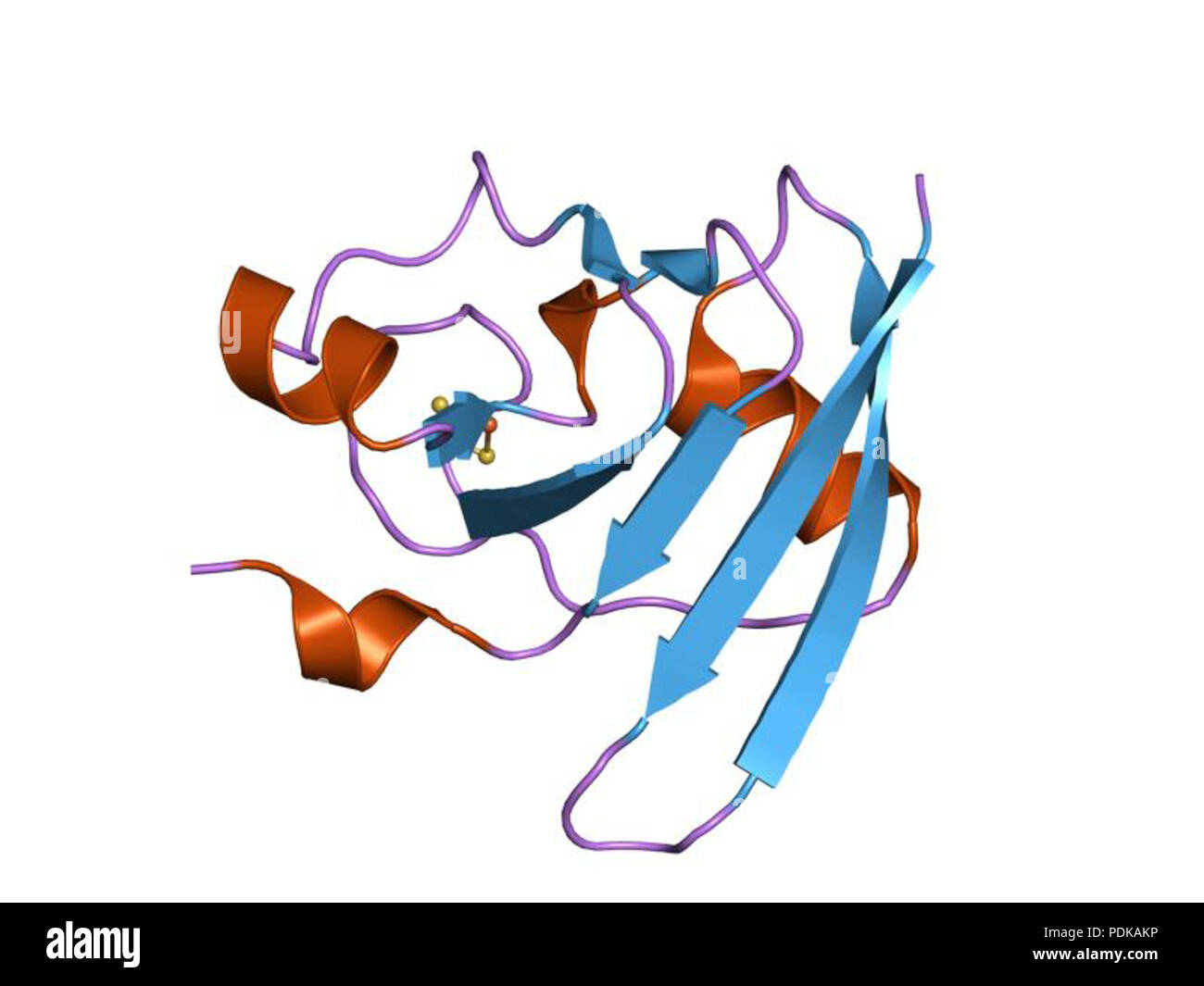 Mrna structure hi-res stock photography and images - Alamy