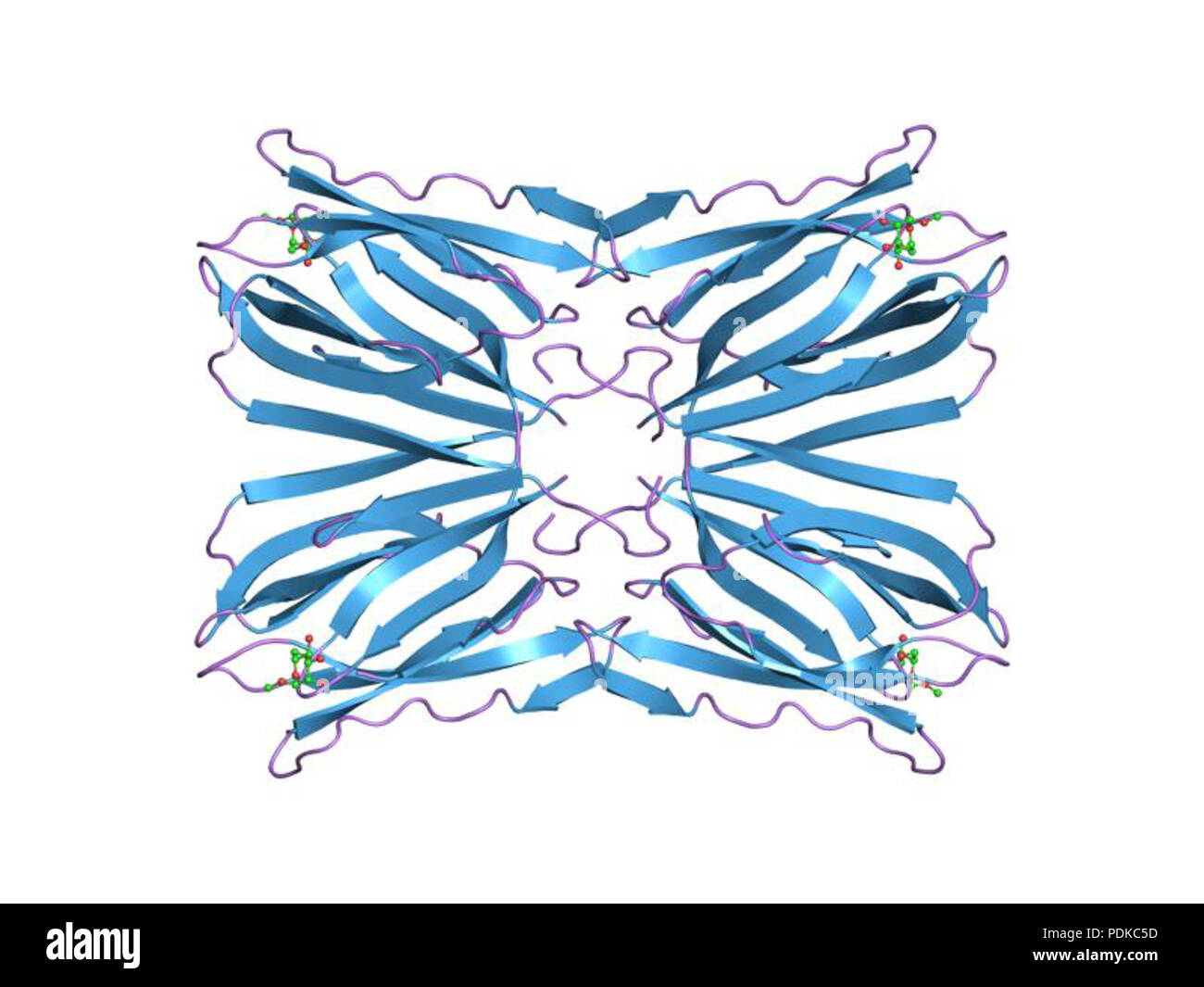 67 PDB 1kuj EBI Stock Photo