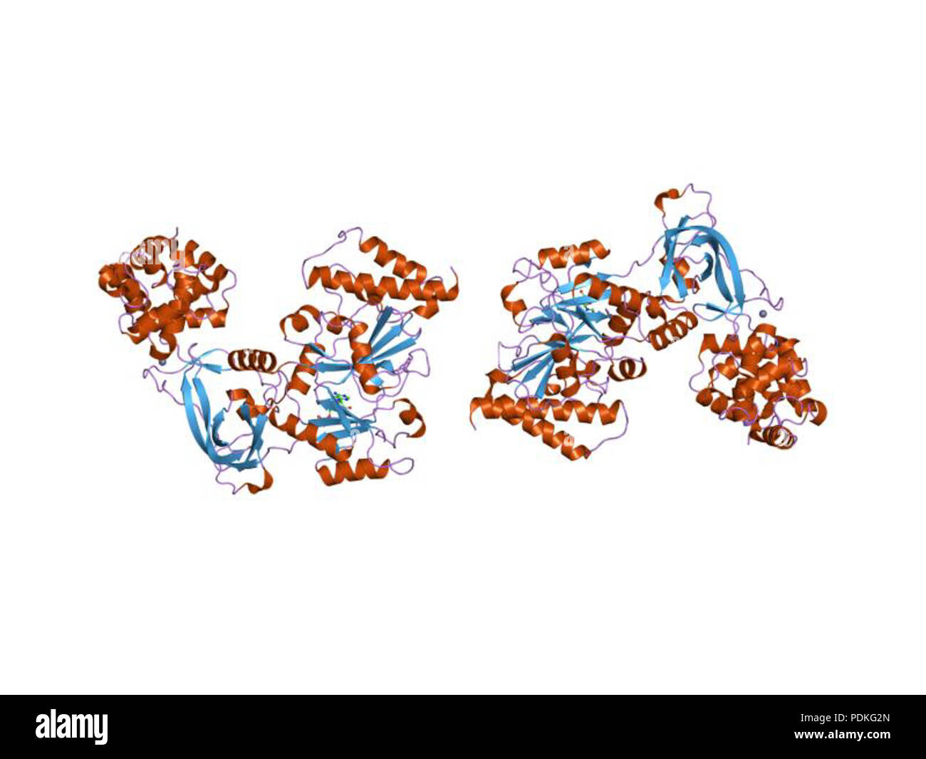 24 PDB 1dgs EBI Stock Photo