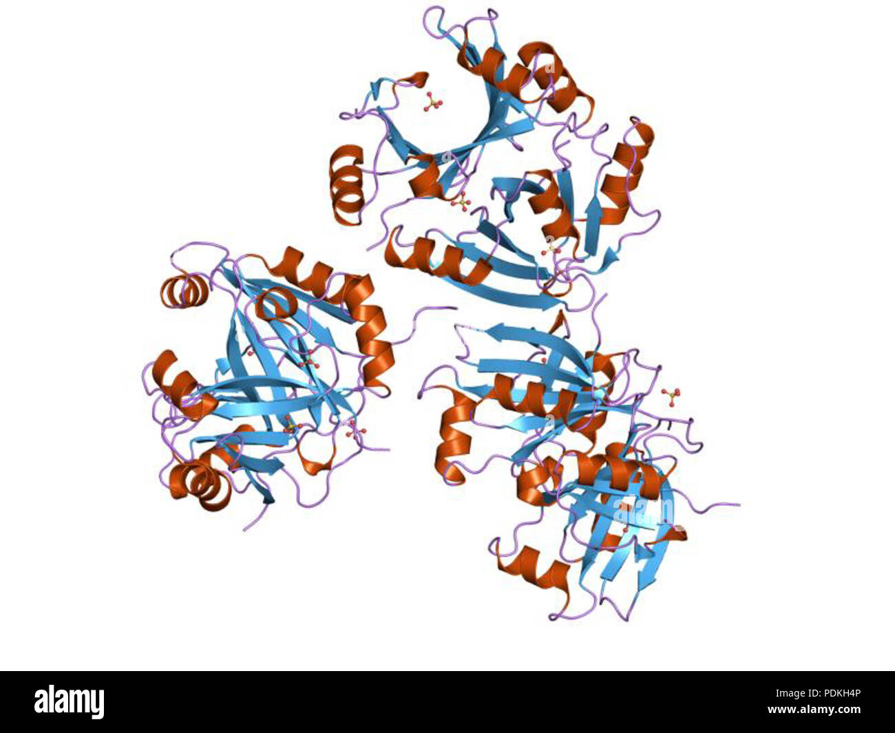58 PDB 1jc5 EBI Stock Photo