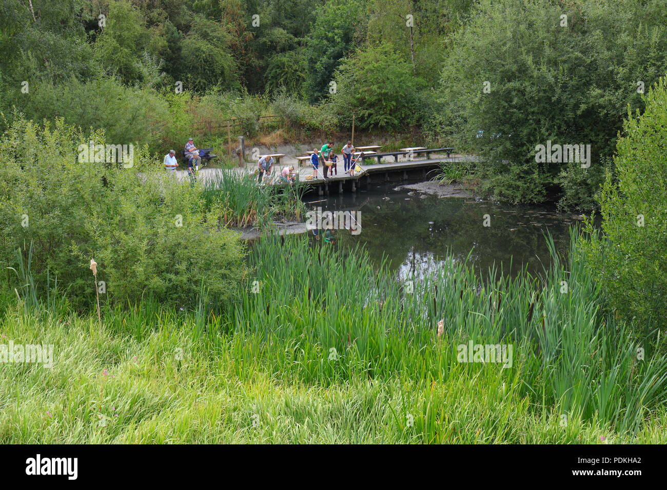 Families pond dipping on a nature trail at RSPB Fairburn Ings Nature Reserve Stock Photo