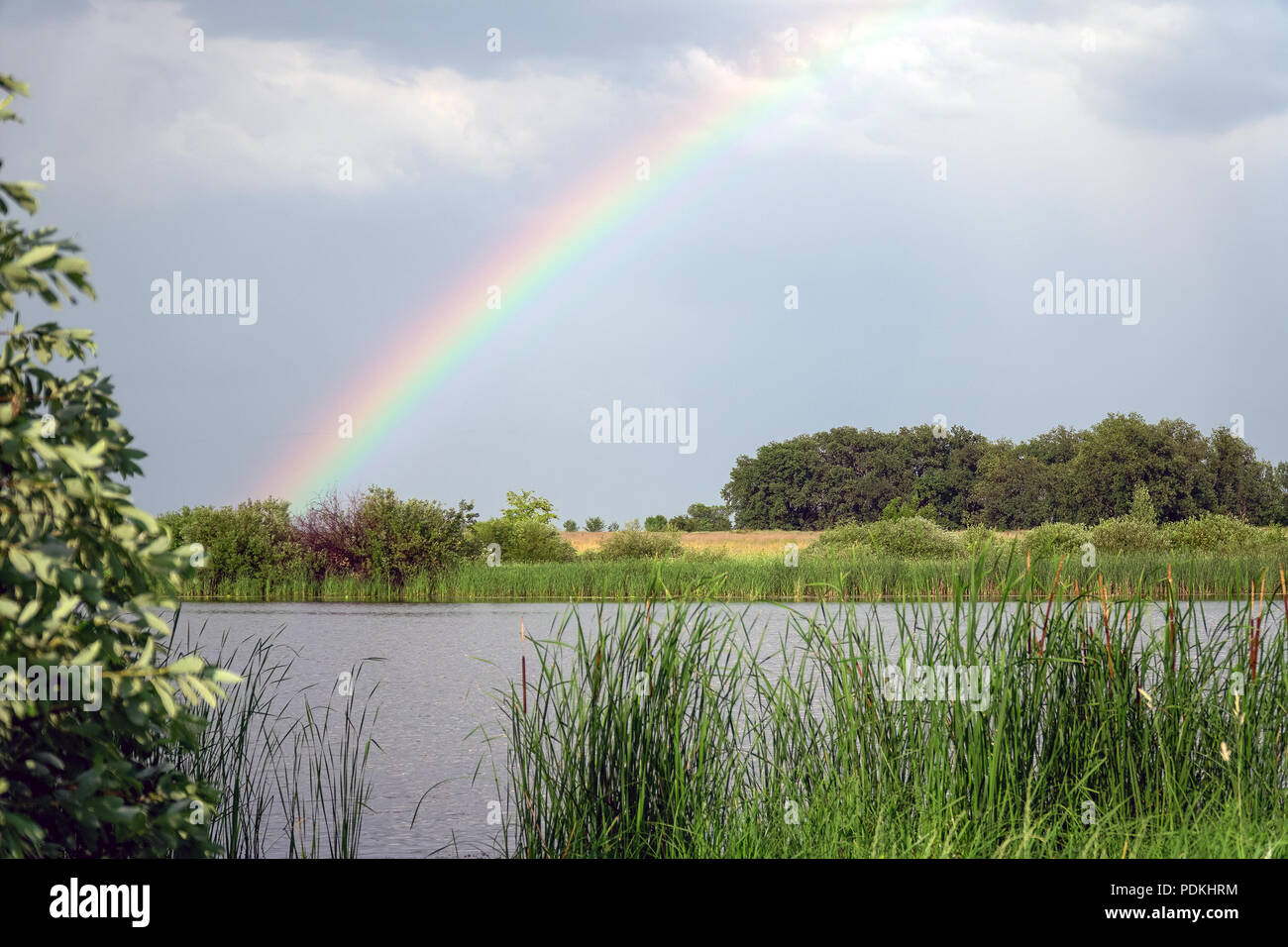 Rainbow over the lake and forest against a cloudy sky Stock Photo - Alamy