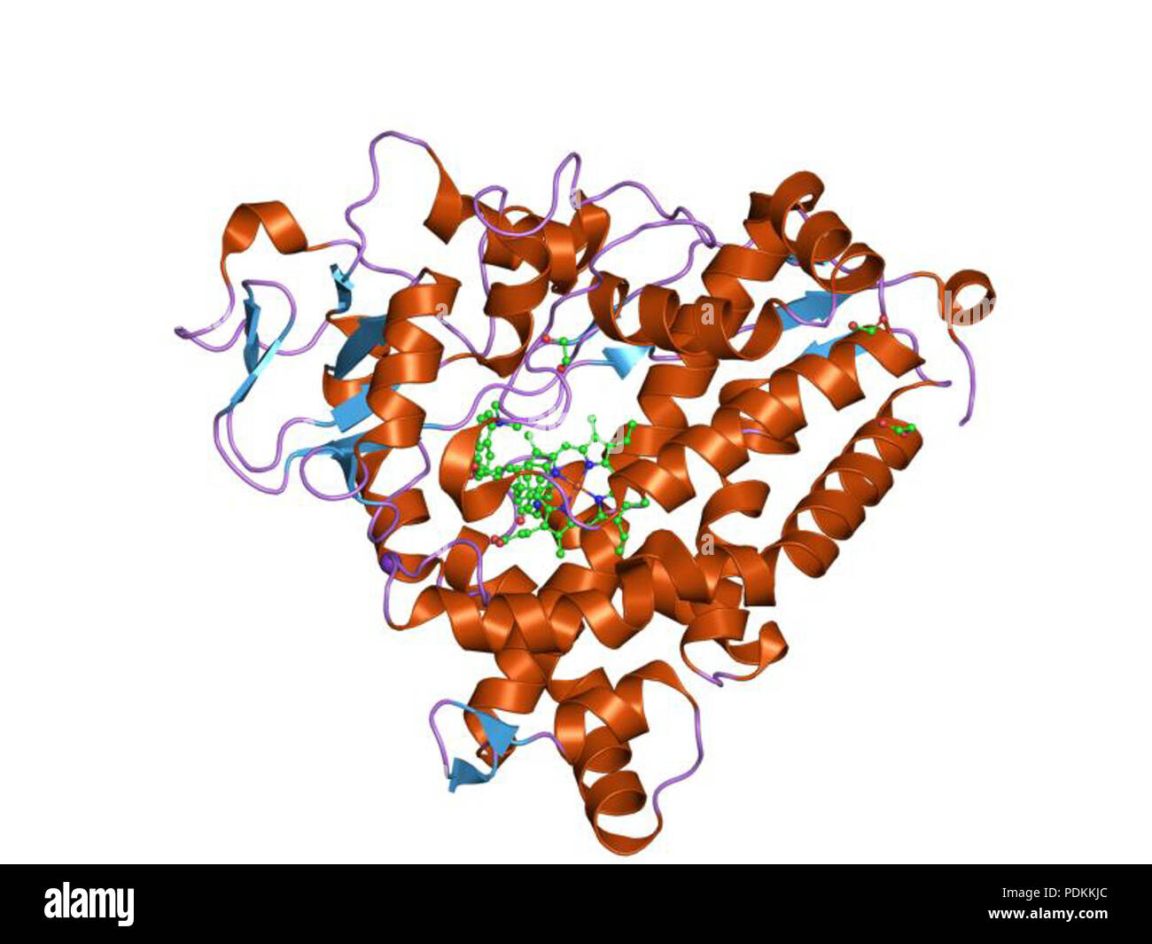 105 PDB 1re9 EBI Stock Photo
