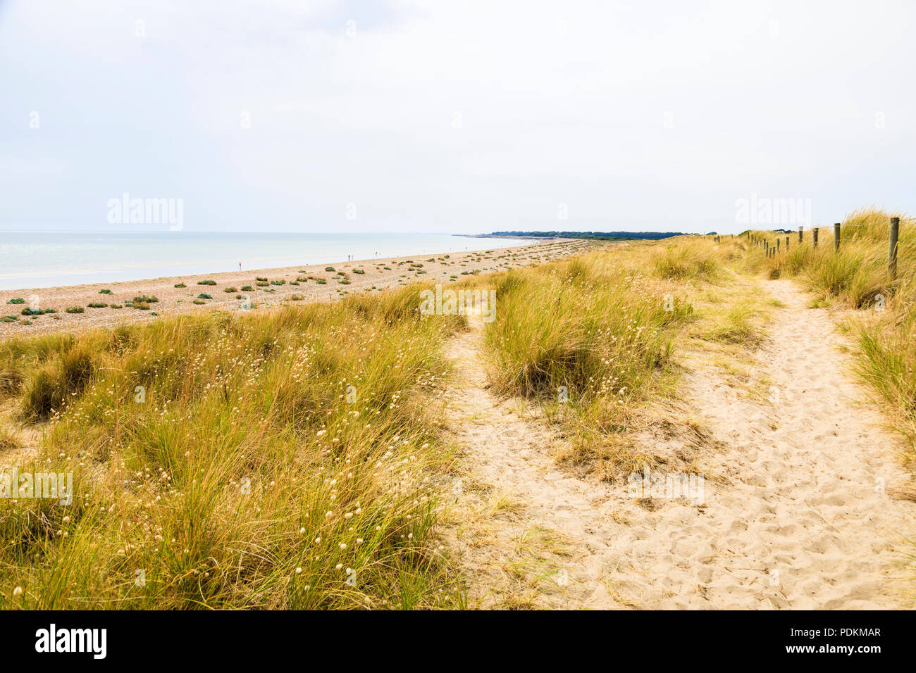 West Beach sand dunes in the Climping Beach SSSI local nature reserve,  Littlehampton, a small holiday resort on south coast West Sussex, UK in  summer Stock Photo - Alamy
