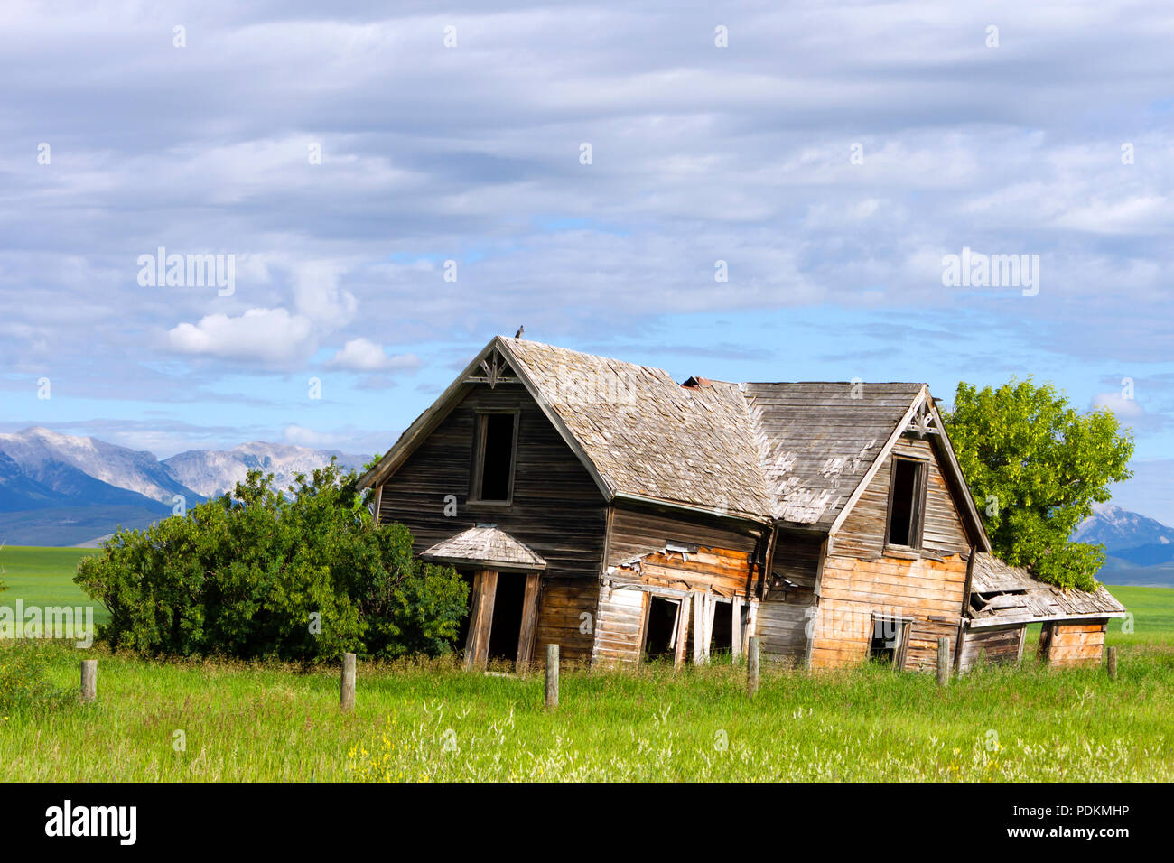 Old Pincher Stock Photos Old Pincher Stock Images Alamy