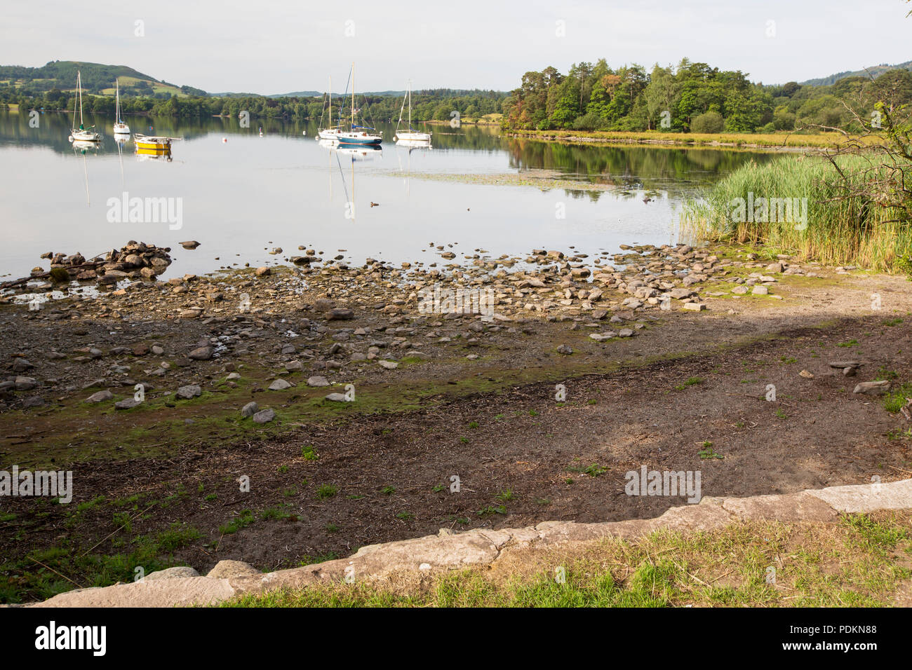 Lake Windermere shoreline receding rapidly in the drought like conditions, taken on 11th July 2018. Lake District, UK Stock Photo