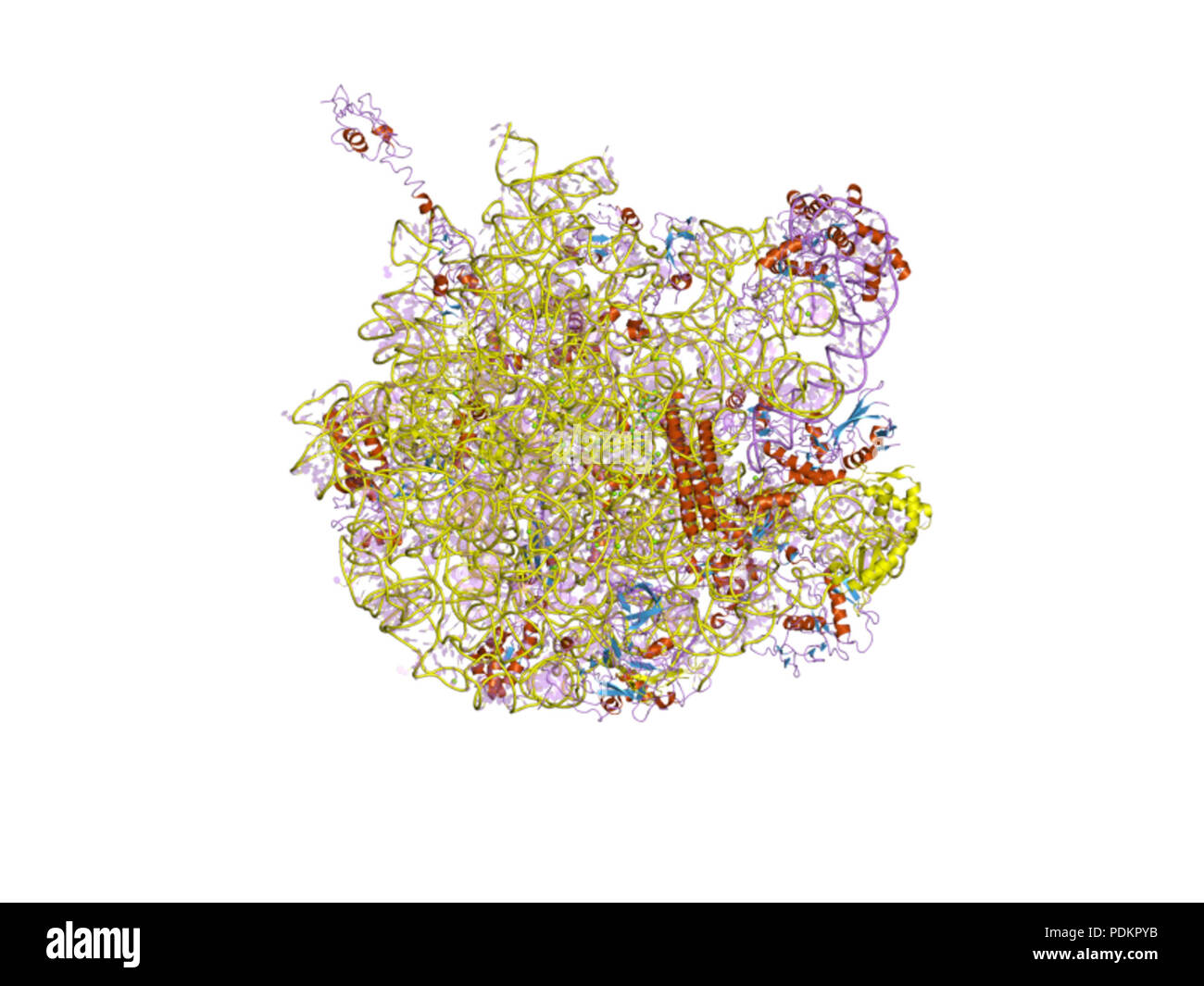 252 PDB 2z4l EBI Stock Photo - Alamy