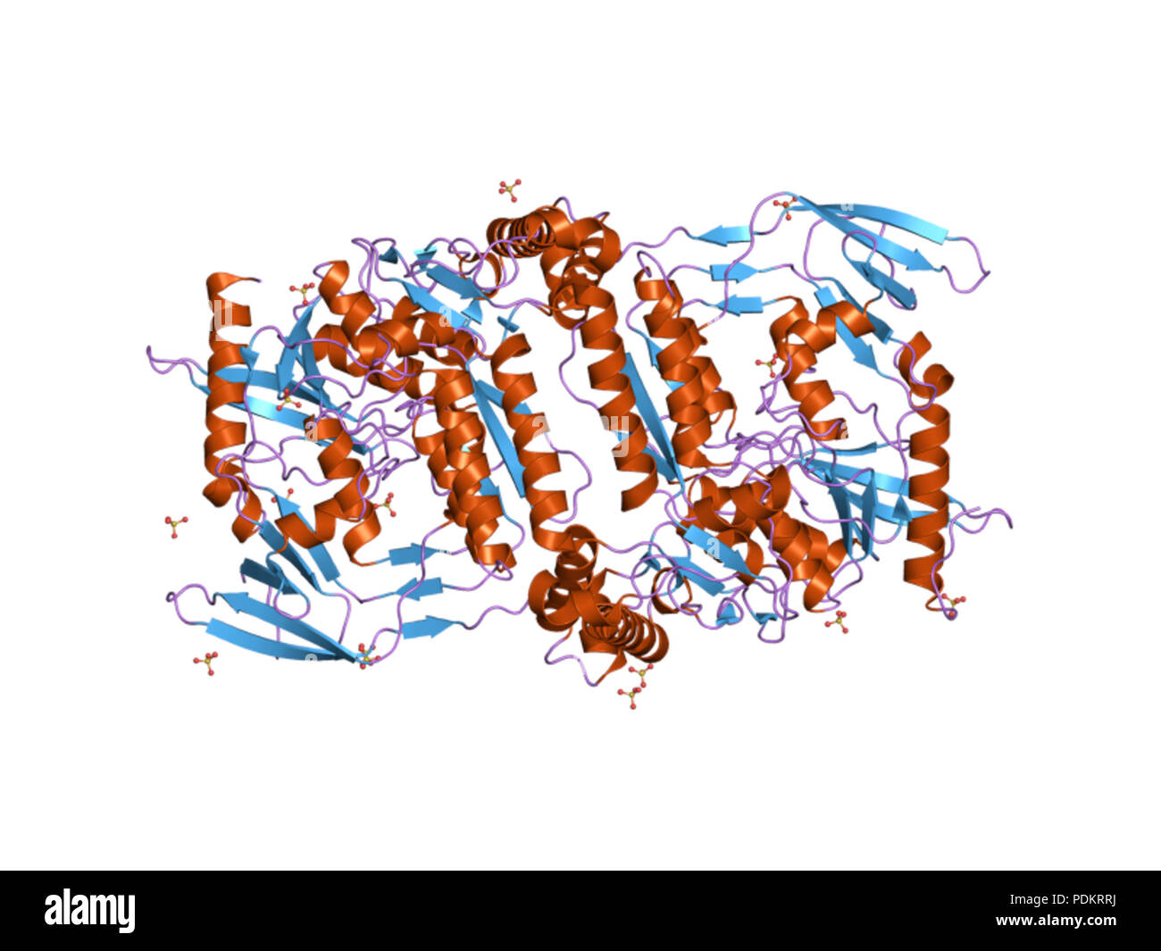 Enzyme activation and inhibition hi-res stock photography and images ...