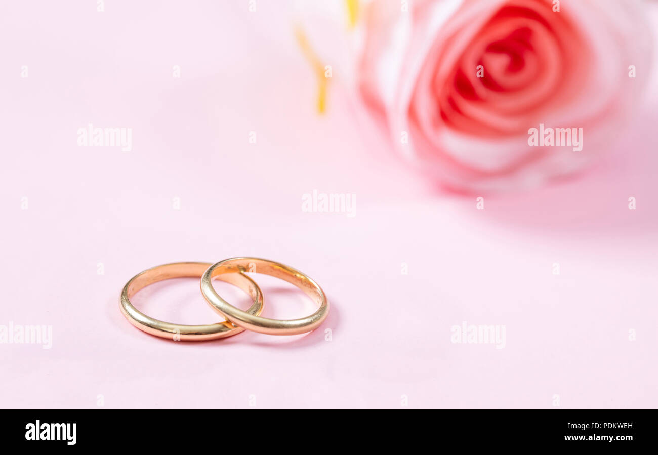 Love and marriage concept. Close up view of golden wedding rings and a blurry pink rose, copy space, on a pink background. Stock Photo