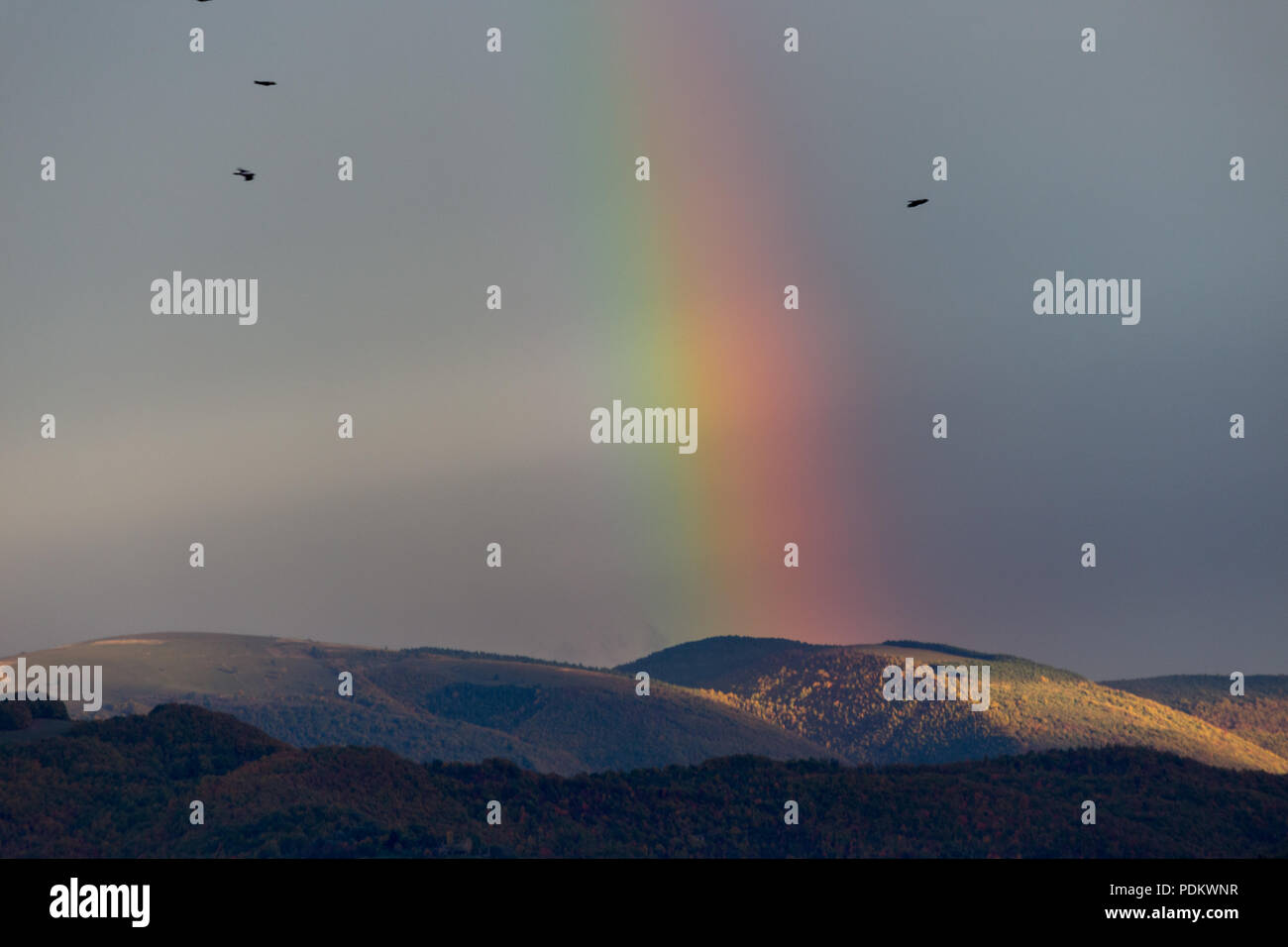 Beautiful and surreal view of part of a rainbow over some hills with birds flying Stock Photo