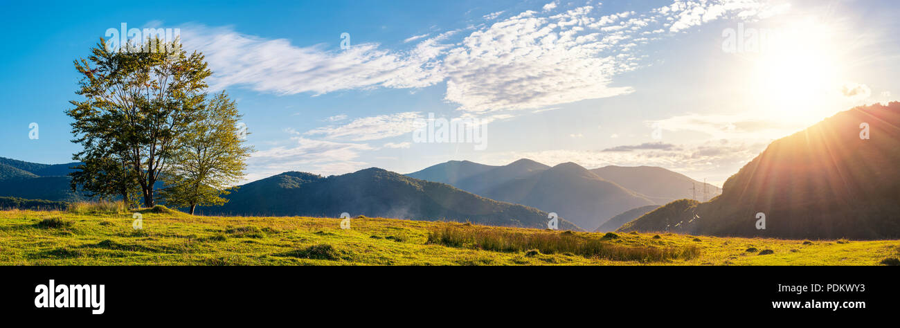 panorama of a mountainous landscape. trees on the grassy meadow. powerline tower in the distance. beautiful autumn sunset Stock Photo