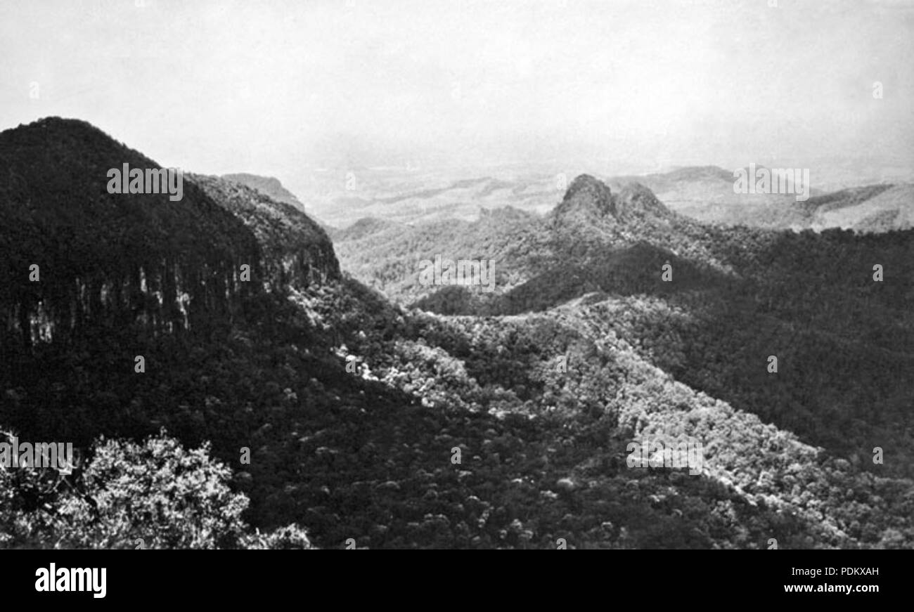 100 Queensland State Archives 1182 View from Best of All Lookout Springbrook South Queensland c 1930 Stock Photo