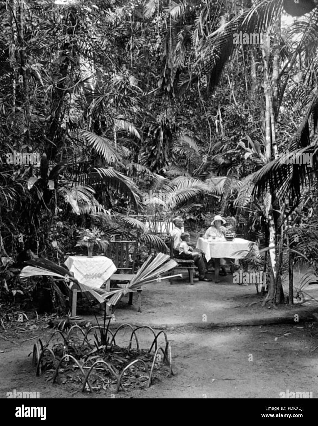 101 Queensland State Archives 1244 The Gardens Fairyland Kuranda NQ c 1935