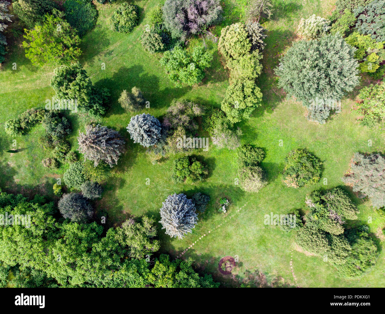 birds eye view of summer park landscape. natural background. aerial