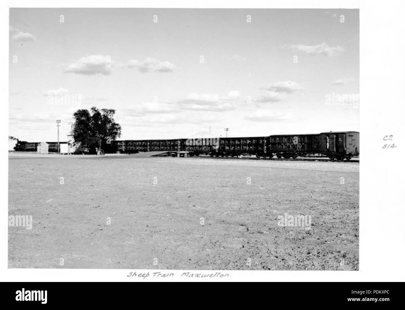 115 Queensland State Archives 4400 Sheep train Maxwelton 1952 Stock Photo