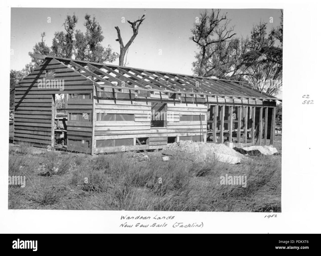 115 Queensland State Archives 4437 Wandoan Lands new cow bails Jacklins property 1952 Stock Photo