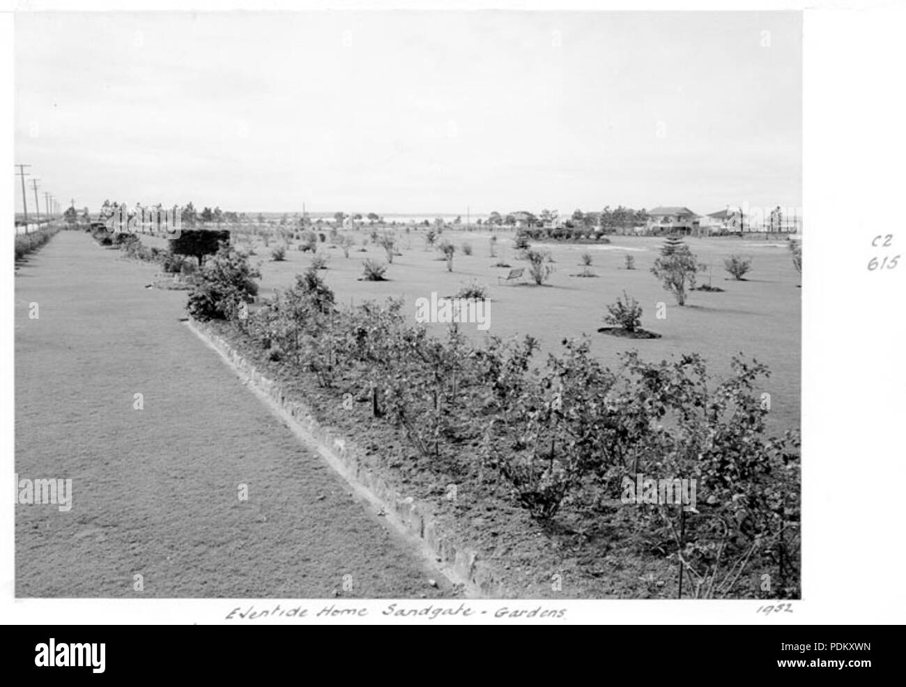 115 Queensland State Archives 4470 Eventide Home Sandgate grounds and