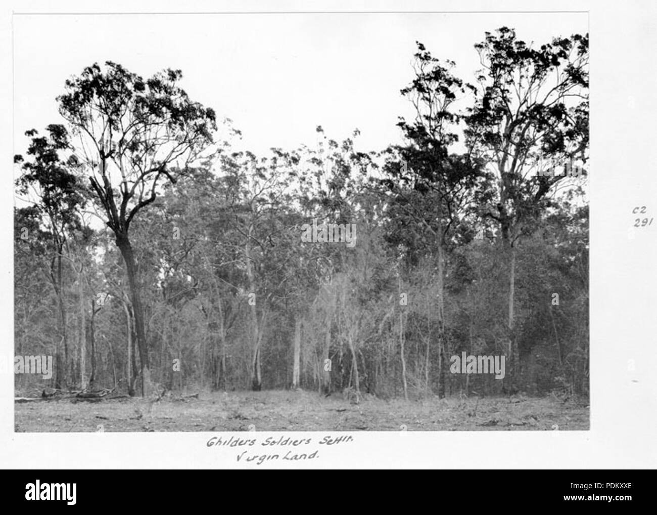 115 Queensland State Archives 4488 Virgin land at the Childers Soldiers