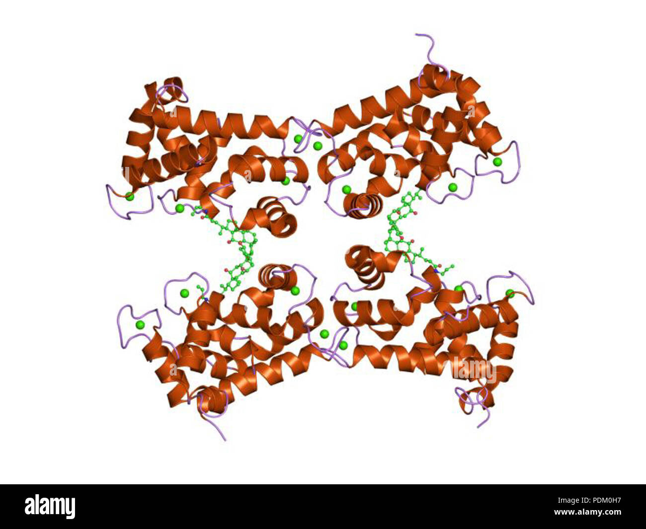 Intellectual Property India