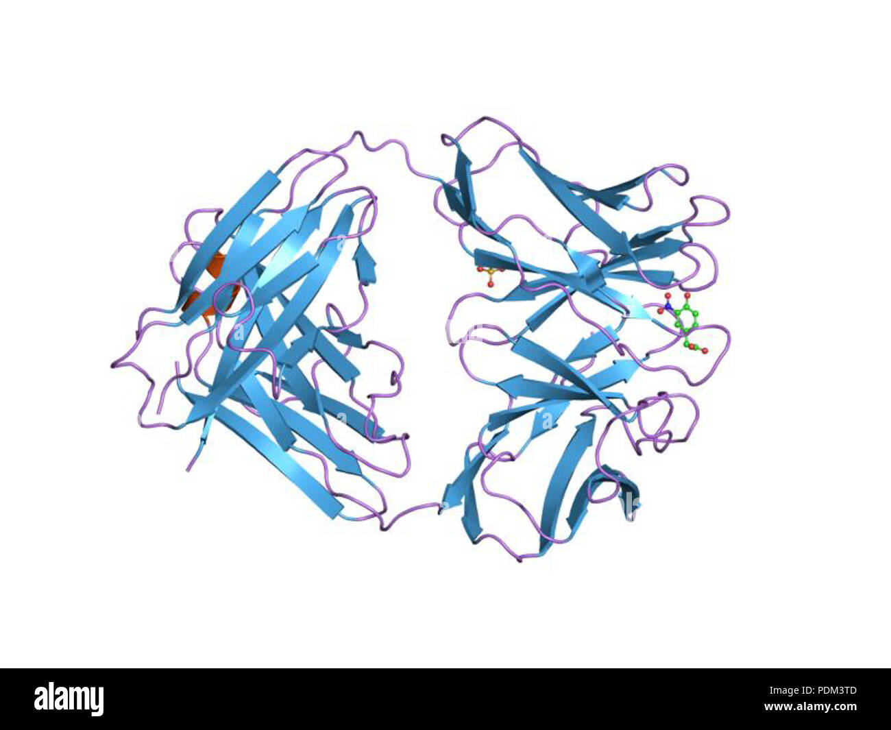 82 PDB 1ngp EBI Stock Photo - Alamy