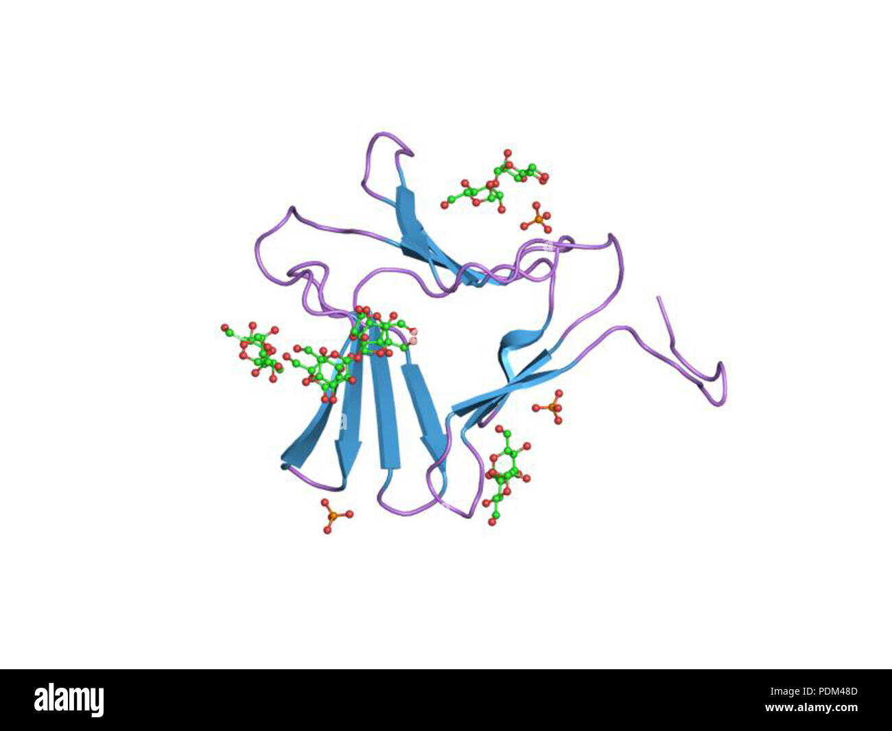 Enzyme mechanisms hi-res stock photography and images - Alamy