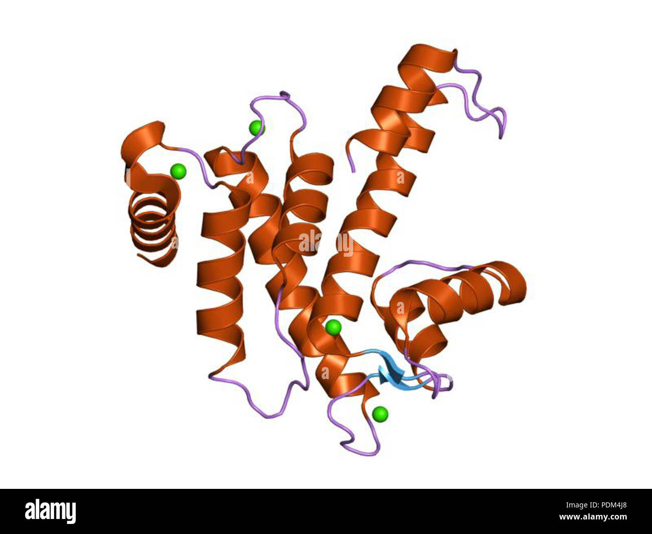 85 PDB 1nx2 EBI Stock Photo