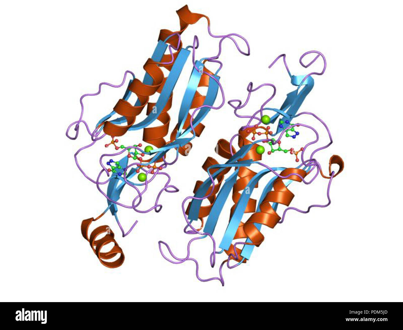 92 PDB 1p18 EBI Stock Photo