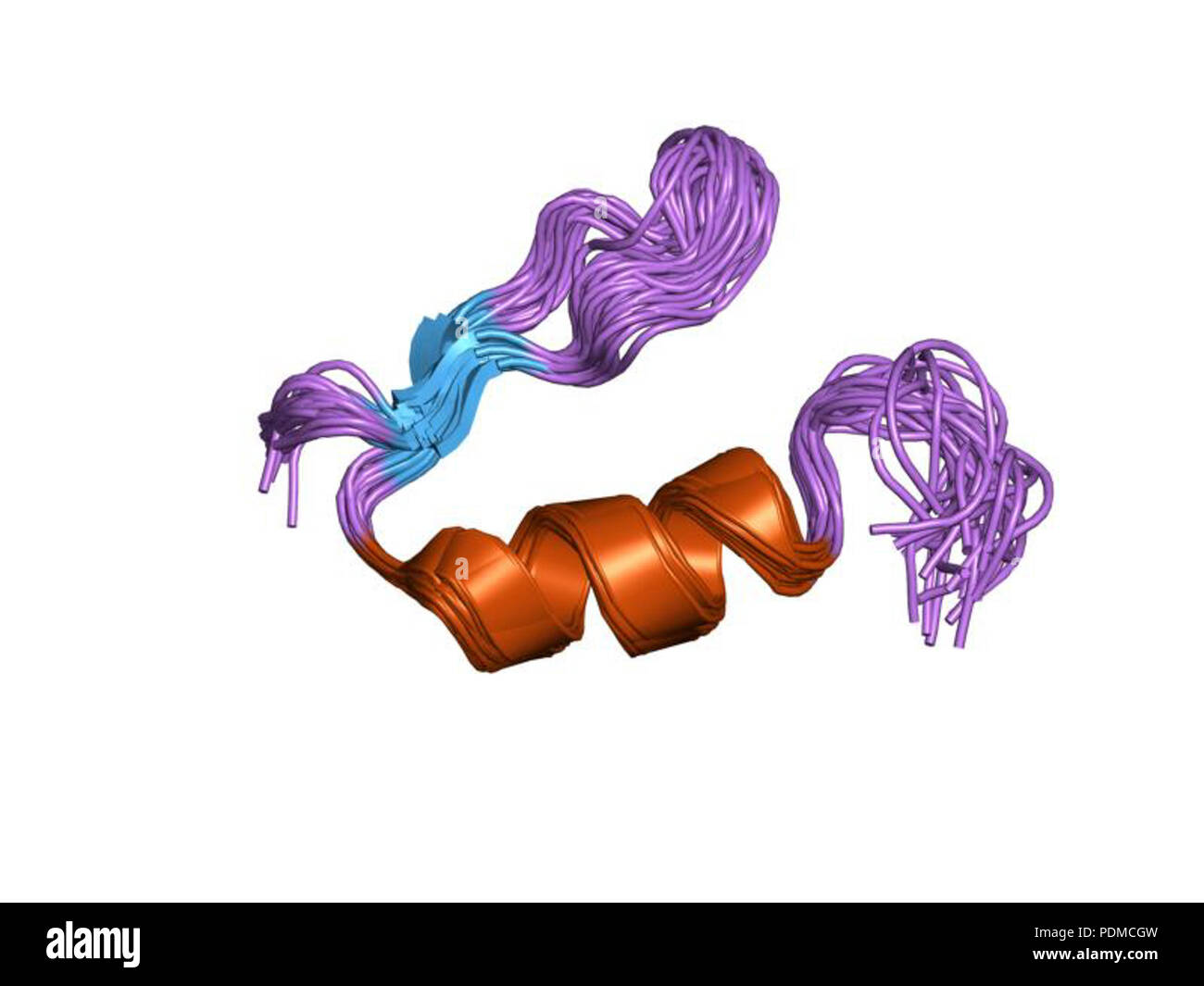 128 PDB 1va2 EBI Stock Photo