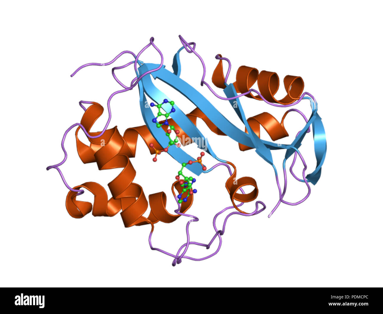 Torsion structure Cut Out Stock Images & Pictures - Alamy
