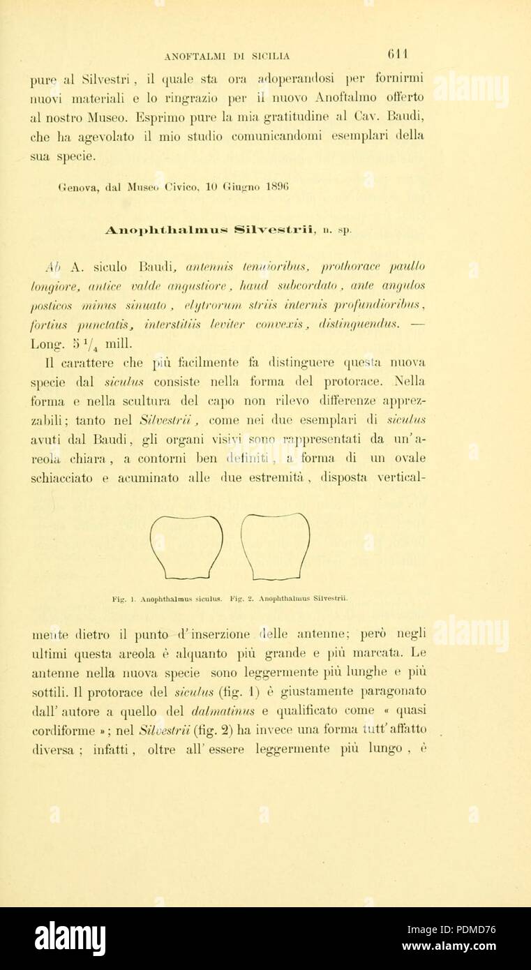 Annali del Museo civico di storia naturale di Genova (Page 611) Stock Photo