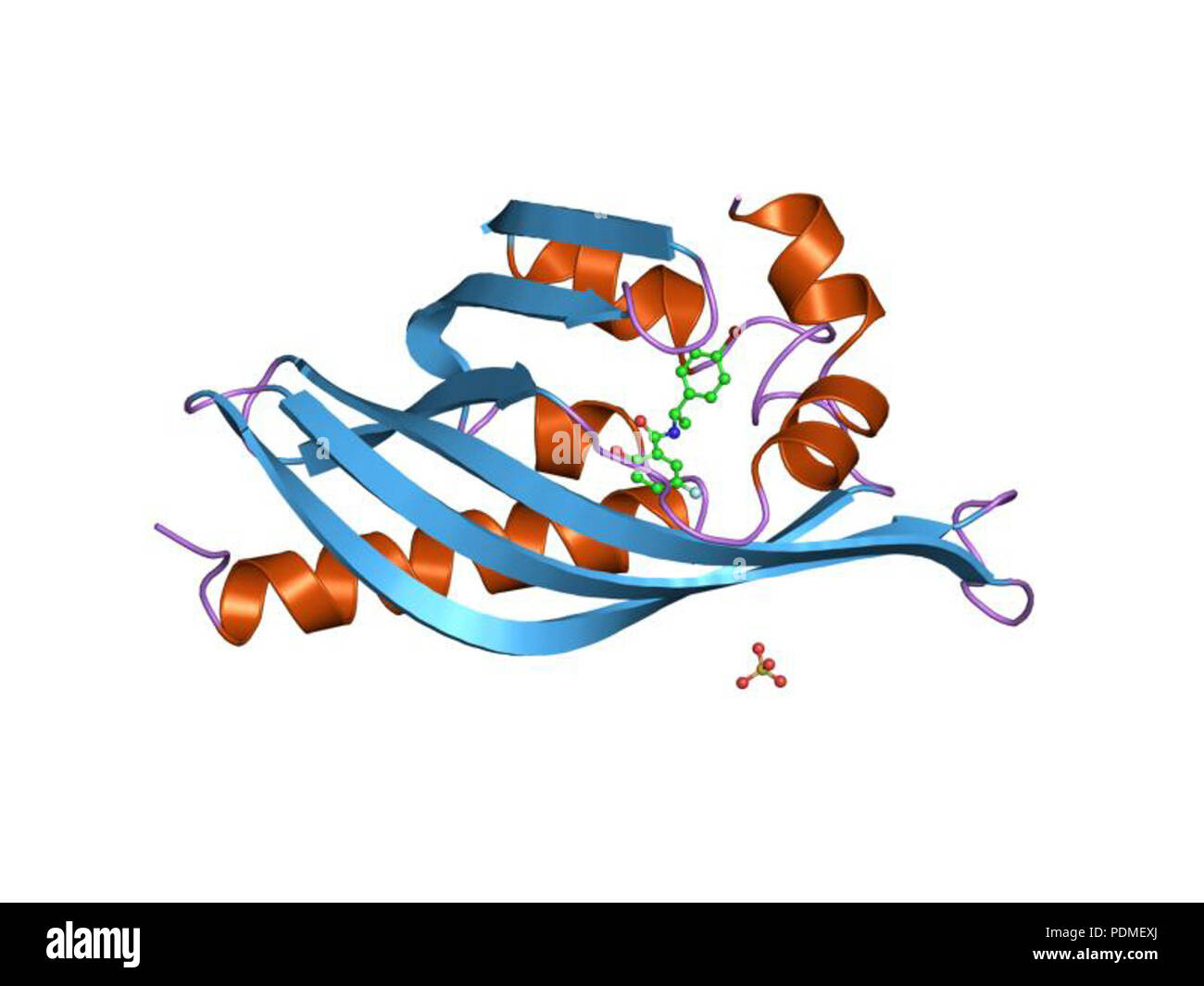 113 PDB 1std EBI Stock Photo