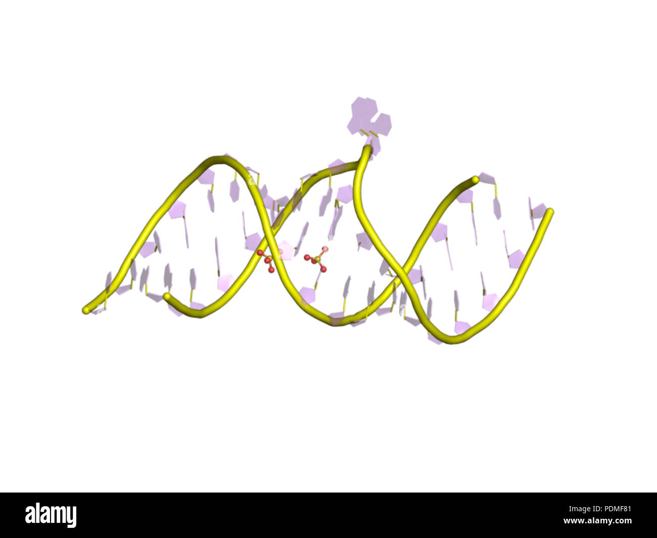 Ribosomal binding hi-res stock photography and images - Alamy