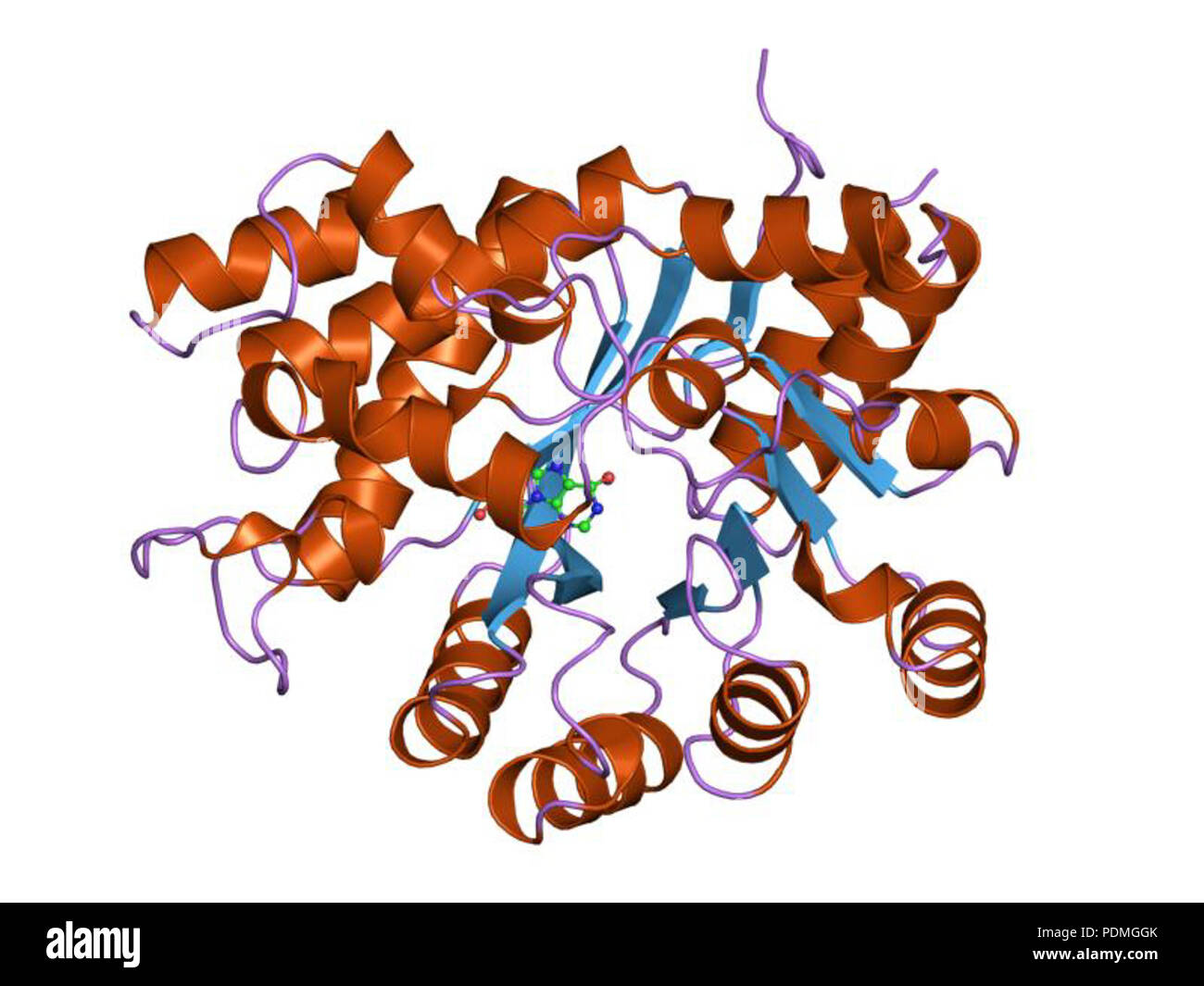 Archival academic documentation hi-res stock photography and images - Alamy