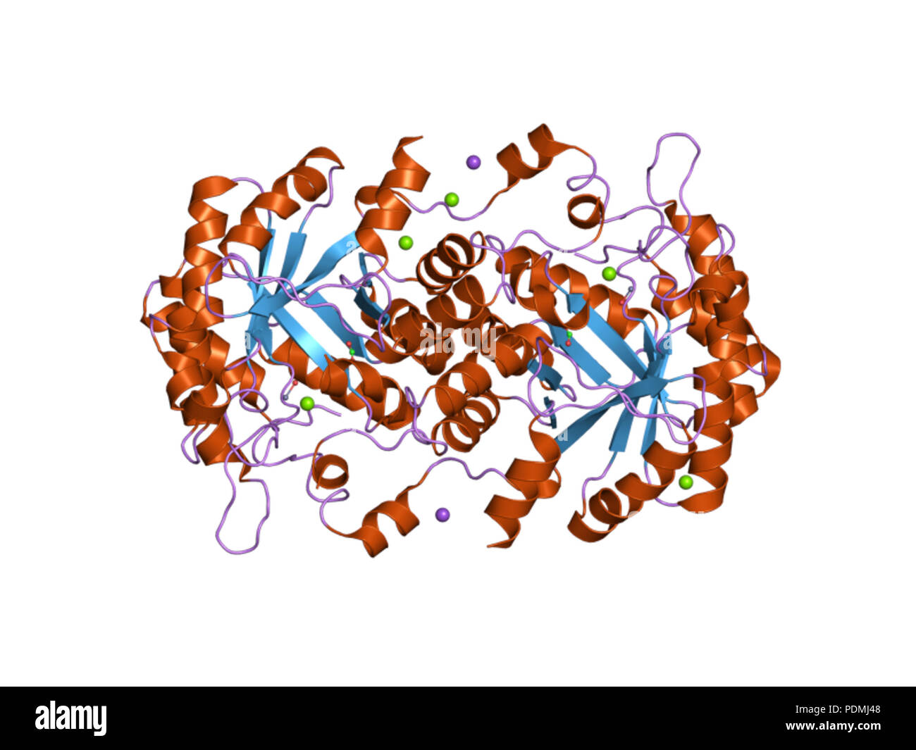 132 PDB 1w5q EBI Stock Photo - Alamy