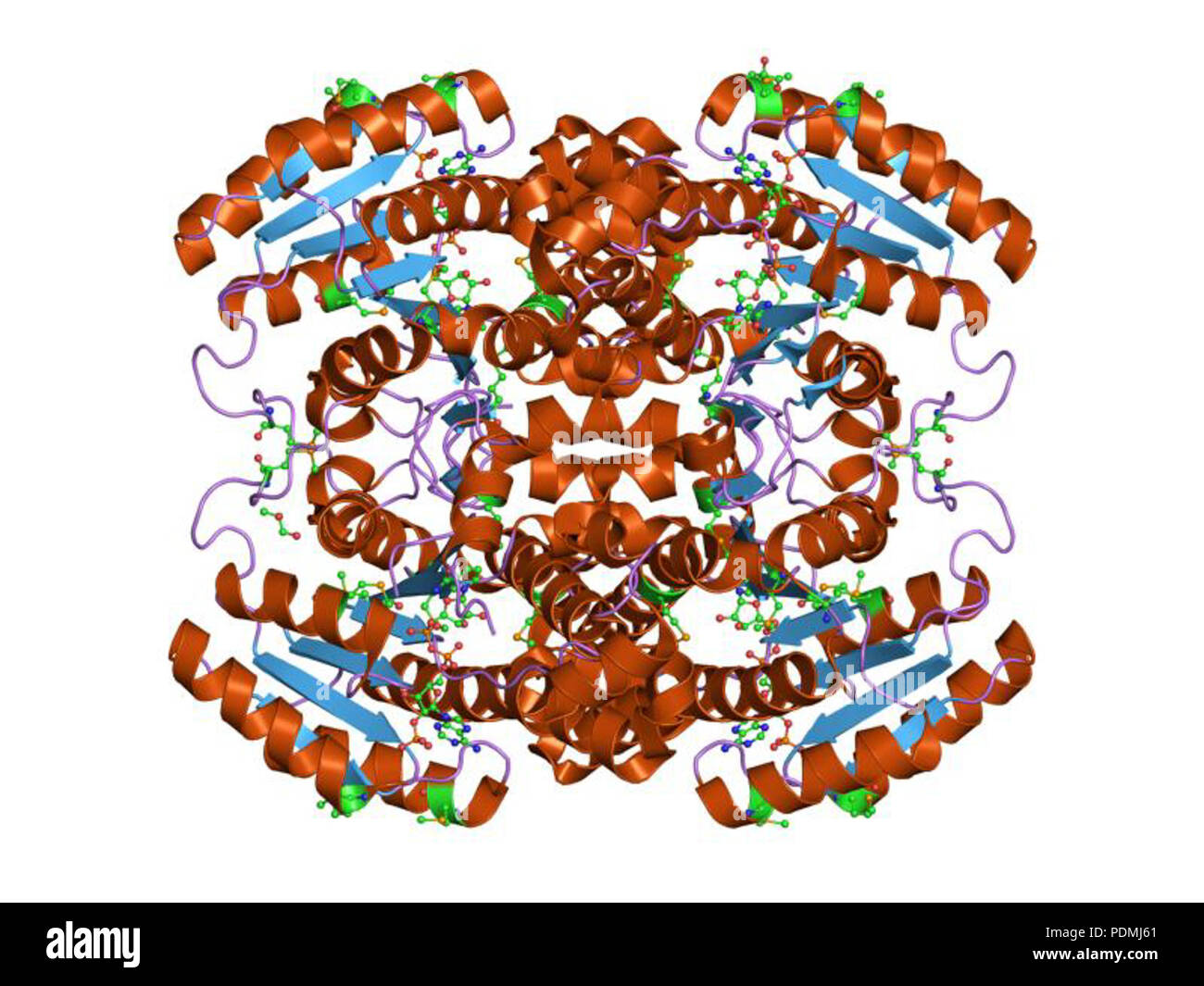 Technical reference material hi-res stock photography and images - Alamy