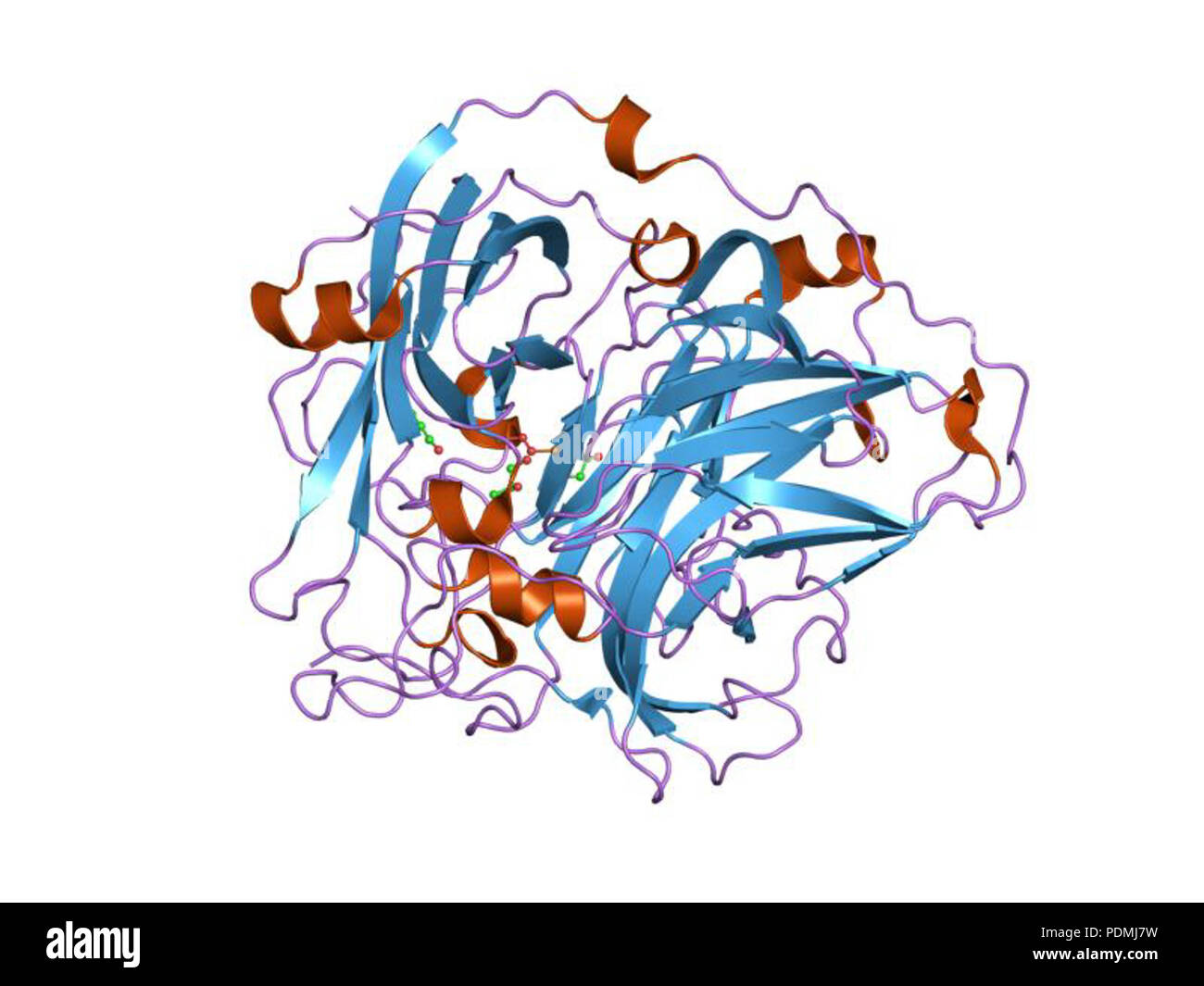 132 PDB 1w8e EBI Stock Photo - Alamy