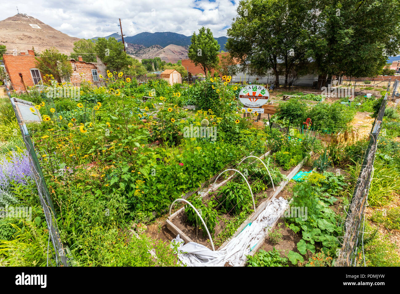 Community garden hi-res stock photography and images - Alamy