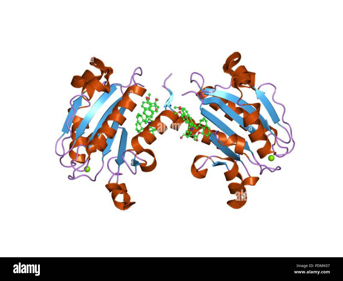 139 PDB 1xdd EBI Stock Photo Alamy 139 PDB 1xdd EBI Stock Photo Alamy