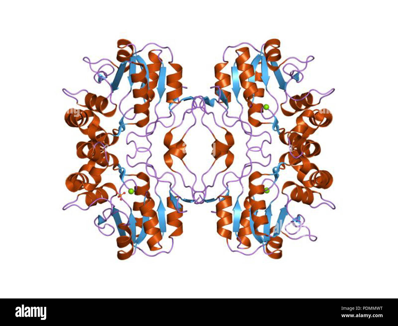 150 PDB 1z5g EBI Stock Photo