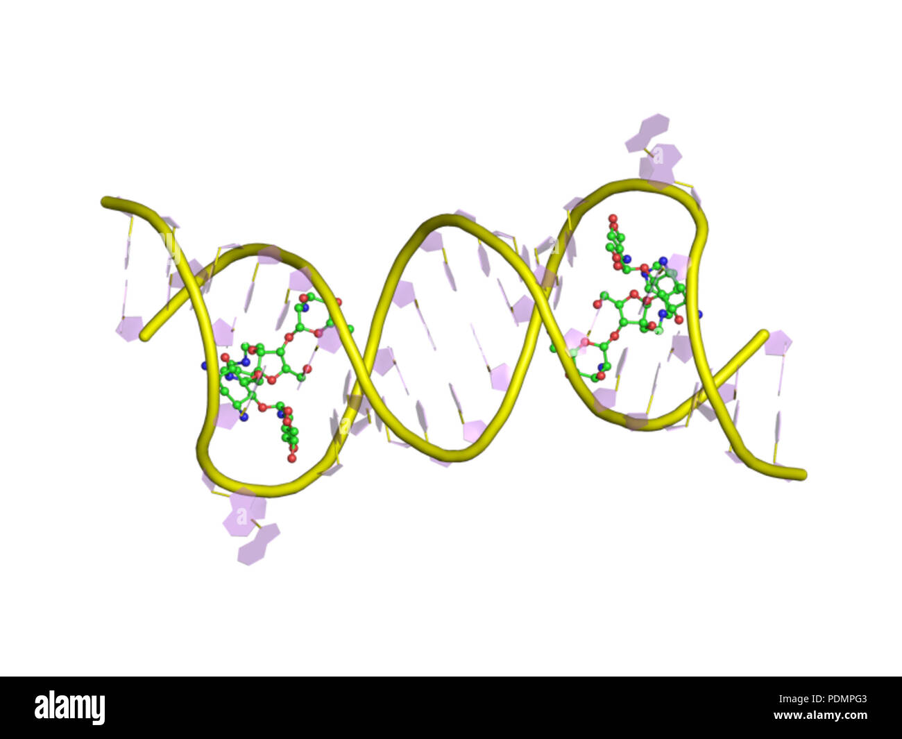Bacterial protein synthesis hi-res stock photography and images - Alamy
