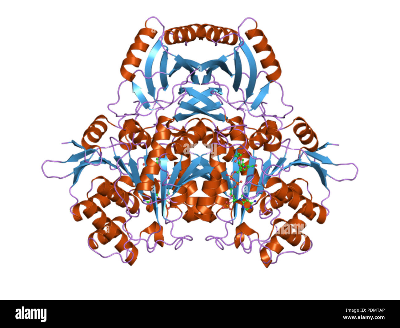 173 PDB 2d1c EBI Stock Photo
