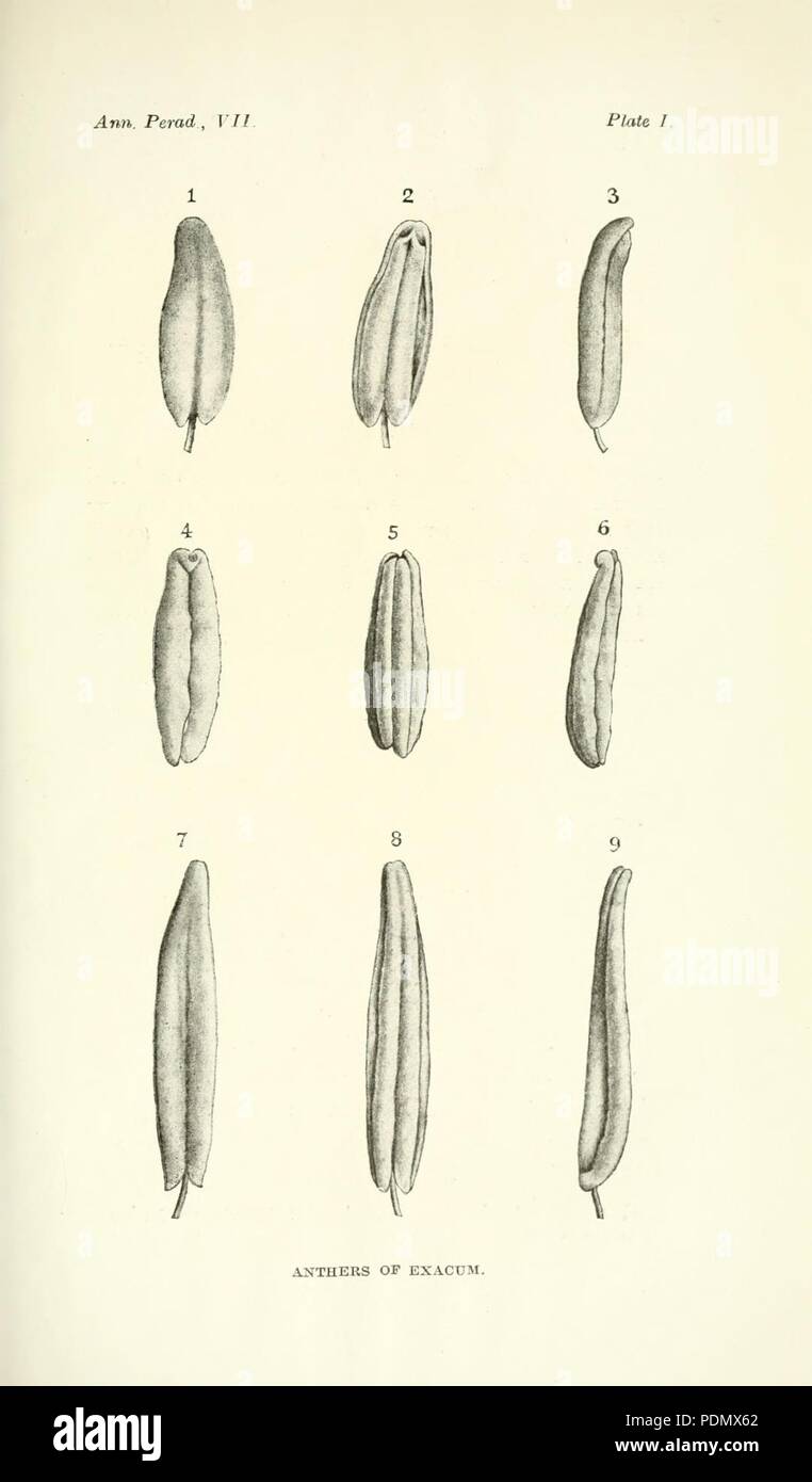 Annals of the Royal Botanic Gardens, Peradeniya Stock Photo