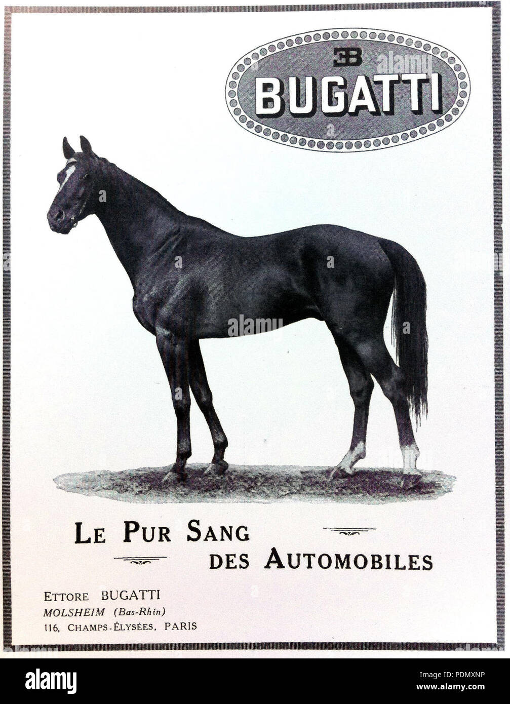 274 Pur Sang Bugatti (L'Illustration 1923) Stock Photo
