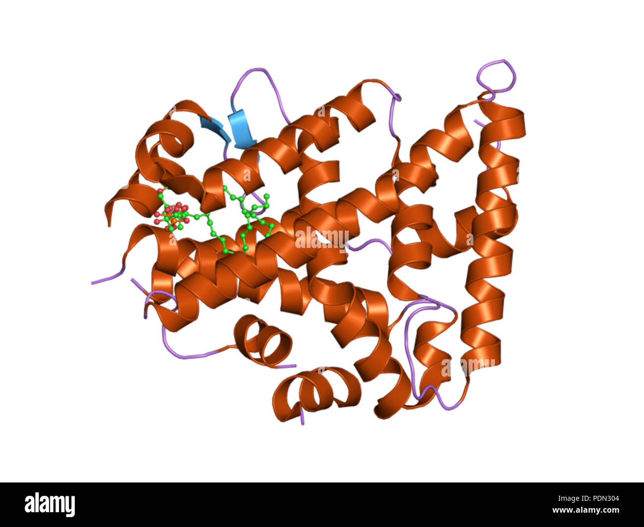 151 PDB 1zdu EBI Stock Photo