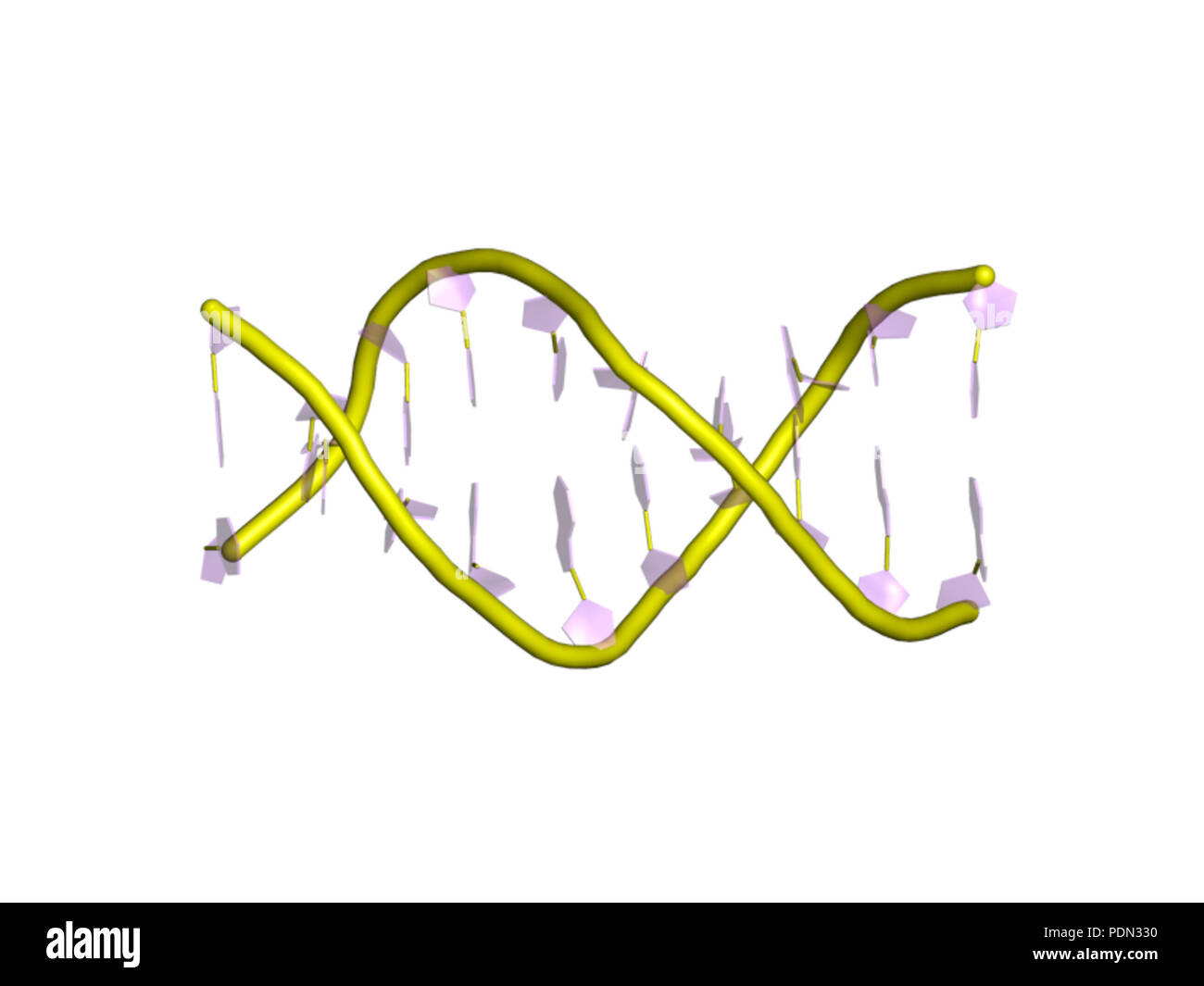 152 PDB 1zfm EBI Stock Photo - Alamy