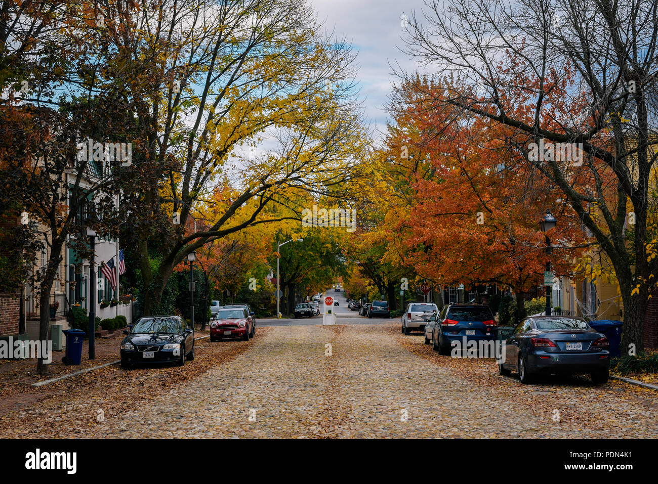 Cobblestone street and fall color in Old Town Alexandria, Virginia