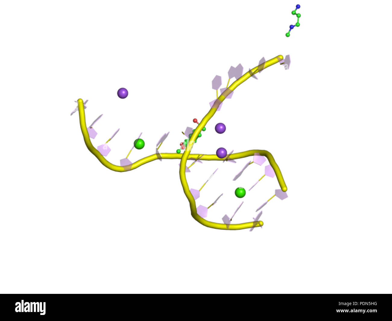 Enzyme theory hi-res stock photography and images - Alamy