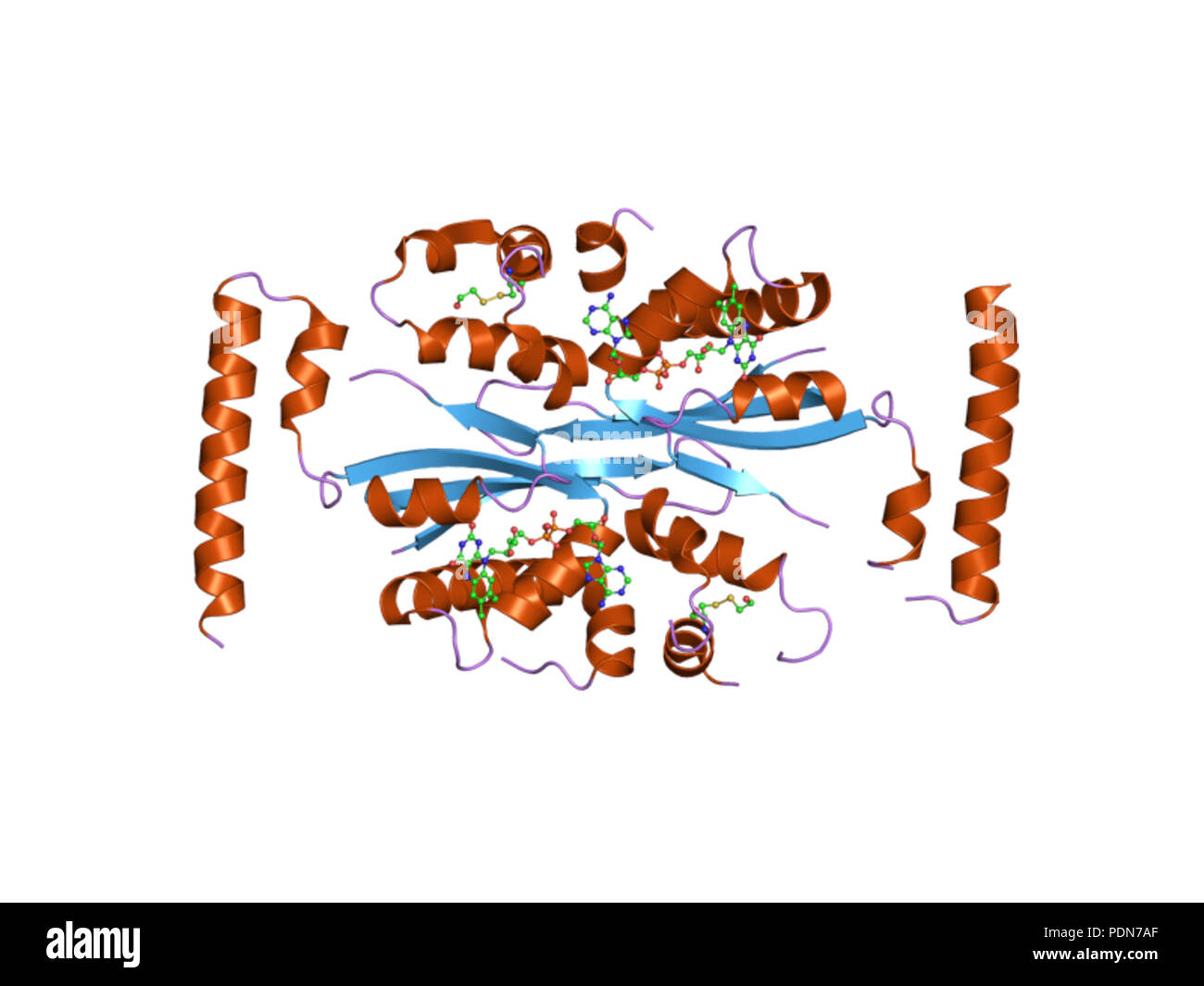 Biomolecular structures hi-res stock photography and images - Alamy
